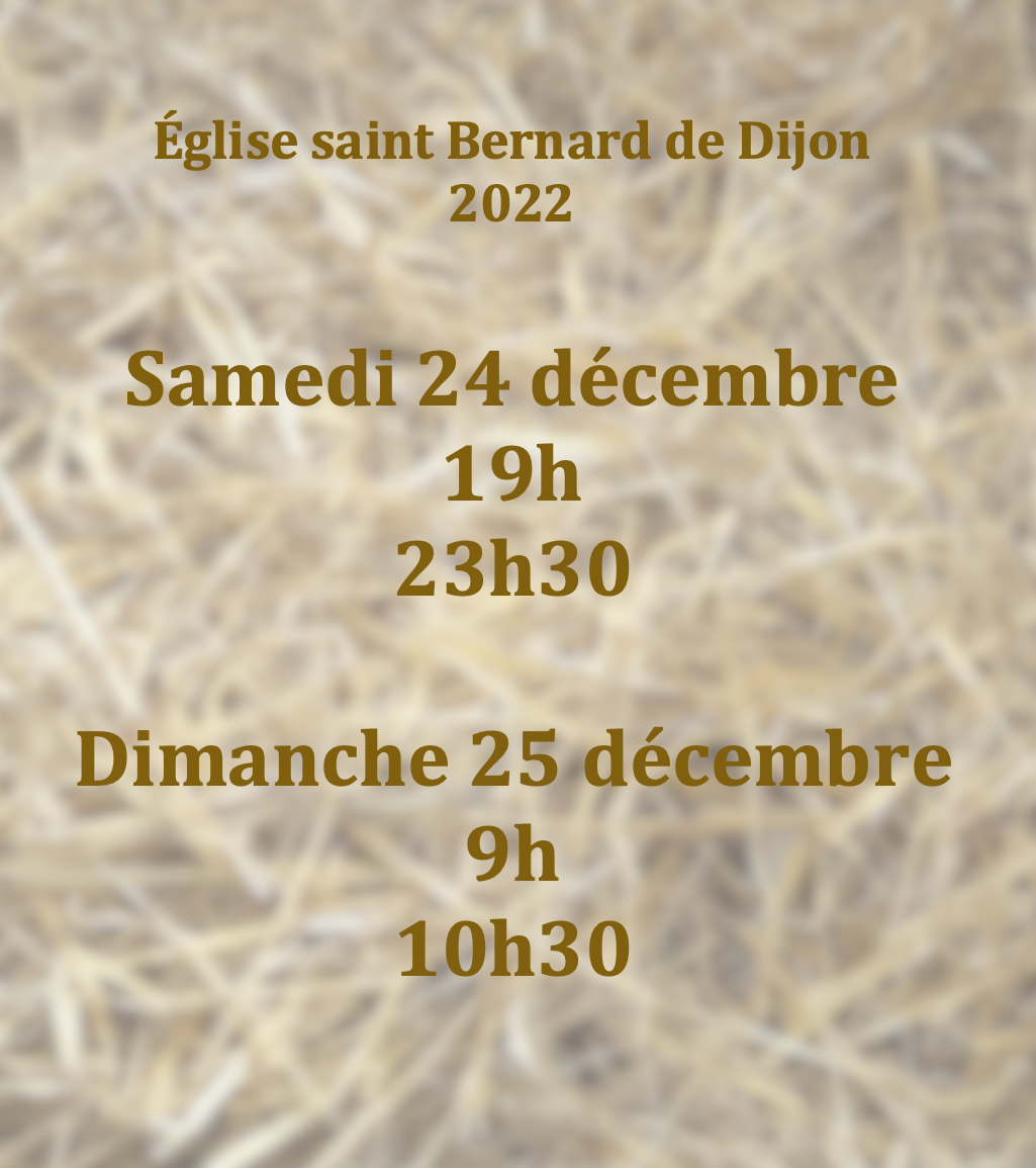 Capture d’écran 2022-12-02 à 11.17.09